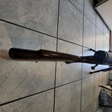 SAKO L579 VARMIT IN 22-250 WITH SIG SAUER TANGO4 4X16X44 SCOPE - 7 of 14