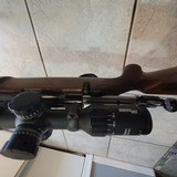 SAKO L579 VARMIT IN 22-250 WITH SIG SAUER TANGO4 4X16X44 SCOPE - 10 of 14