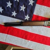 HENRY AXE 410 LEVER ACTION - 6 of 14