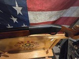 REMINGTON SPORTSMAN 58 20GA WITH ENGRAVED GAME SCENE - 10 of 13 REMINGTON SPORTSMAN 58 20GA WITH ENGRAVED GAME SCENE - 10 of 13