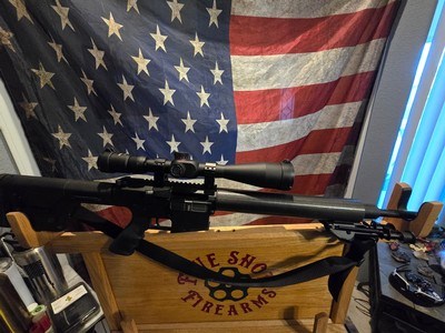 DPMS PANTHER ARMS LR-243 IN 243 WITH 1 MAG - Image 1 of 13