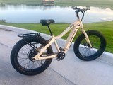 QUIETKAT RANGER 5.0 EBIKE - 2 of 4