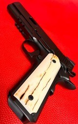 Nighthawk Agent 2 with spectacular grips!!! - 5 of 8