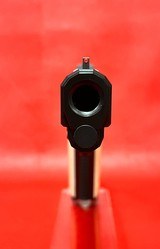 Nighthawk Agent 2 with spectacular grips!!! - 7 of 8