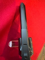 Beautiful Blue Colt Python 4