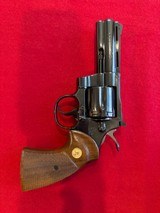 Beautiful Blue Colt Python 4