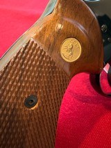 Beautiful Blue Colt Python 4