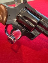 Beautiful Blue Colt Python 4