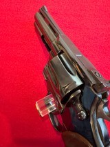 Beautiful Blue Colt Python 4