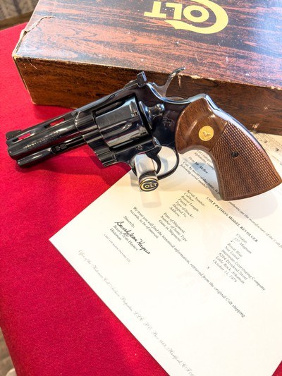 Beautiful Blue Colt Python 4