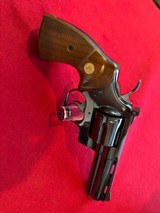 Beautiful Blue Colt Python 4