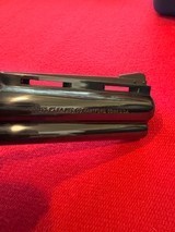 Beautiful Blue Colt Python 4