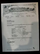 Beautiful Blue Colt Python 4