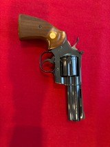 Beautiful Blue Colt Python 4