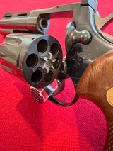 Beautiful Blue Colt Python 4