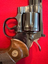 Beautiful Blue Colt Python 4