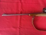 Winchester Model 70 (Pre 1964) chambered in .264 Win Mag - 8 of 15
