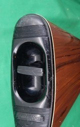 Remington Nylon 66 Autoloader 22LR Mohawk Brown - 9 of 9