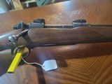 Pre-'64 Featherweight in .243 Win - 7 of 13