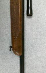 Winchester 43 Deluxe 218 Bee - 5 of 15