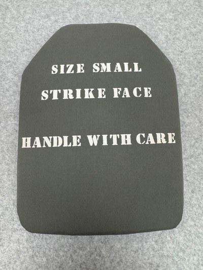 Small ESAPI plate - Image 1 of 2
