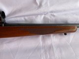 Ruger 77/17 .17 Mach 2 .17HM2 - 4 of 15