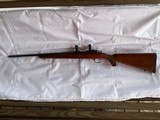 Ruger 77/17 .17 Mach 2 .17HM2 - 6 of 15