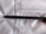 Ruger 77/17 .17 Mach 2 .17HM2 - 11 of 15
