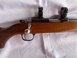Ruger 77/17 .17 Mach 2 .17HM2 - 3 of 15