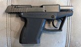 Grendel P-12 .380 ACP with one mag. - Image 5 of 7
