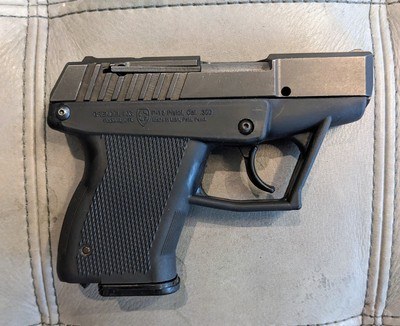 Grendel P-12 .380 ACP with one mag. - Image 2 of 7