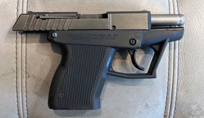 Grendel P-12 .380 ACP with one mag. - Image 5 of 7