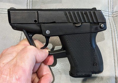 Grendel P-12 .380 ACP with one mag. - Image 6 of 7