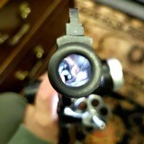 S&W Model 29 NO Dash 44mag, 6in brl 95% - 11 of 14 S&W Model 29 NO Dash 44mag, 6in brl 95% - 11 of 14