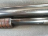Winchester, model 12, 20 gauge, made in 1929,solid rib - 11 of 12