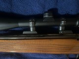 Weatherby mark v varmitmaster - 12 of 13