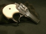 HIGH STANDARD DERRINGER .22 MAGNUM
BLUE - 6 of 10