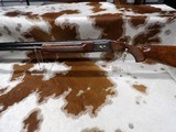 Winchester 101 Pigeon Presentation Grade( Believed to be unfired.) - 4 of 19