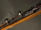 Winchester Model 70, post 64,
scnabel forend,
7mm Mauser.
Absolutely stunning gun - 6 of 9