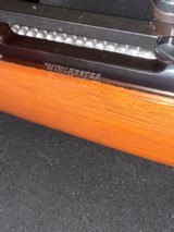 Winchester Model 70, post 64,
scnabel forend,
7mm Mauser.
Absolutely stunning gun - 7 of 9
