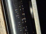 Winchester Super X1, 28