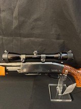 Gorgeous Remington 760, new style wood, 30-06, 22 inch, bushnell scope
Almost as good as new. - 4 of 15 Gorgeous Remington 760, new style wood, 30-06, 22 inch, bushnell scope
Almost as good as new. - 4 of 15