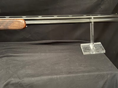 Rizzini Regal Royal Special, Birds and vines engraving over side plates, nice wood, 29 inch choke tube barrels.Test fired only. - Image 7 of 19