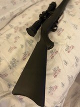 Ruger 10/22 w/Lasermax and optic - 4 of 8