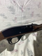 Remington Nylon 66 .22LR - 3 of 12