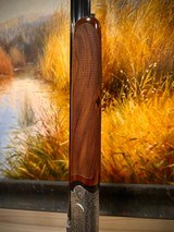 Rizzini Artemis 410 29” - 8 of 10