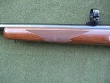 Ruger #1 Varmint
6mm Remington - 5 of 15