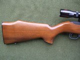 Ruger 10/22
Walnut Finger grove
Made in 1967 - 10 of 14