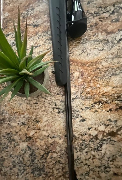 RUGER AMERICAN Rifle .17 HMR - Image 4 of 10