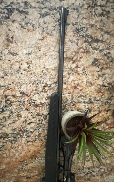 RUGER AMERICAN Rifle .17 HMR - Image 8 of 10